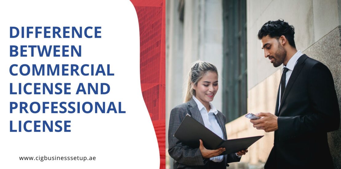 difference between commercial license and professional license